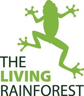 The Living Rainforest