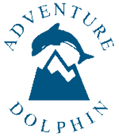 Adventure Dolphin