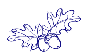 Enborne C of E Primary